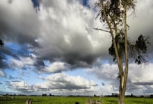 离谱！连丢三球！曼城第89分钟被费耶诺德追平